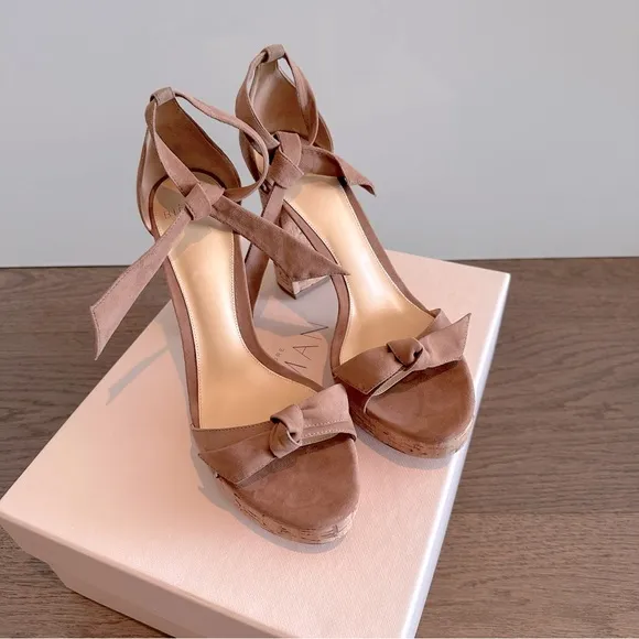 Alexandre Birman Mabela suede with cork sandals
