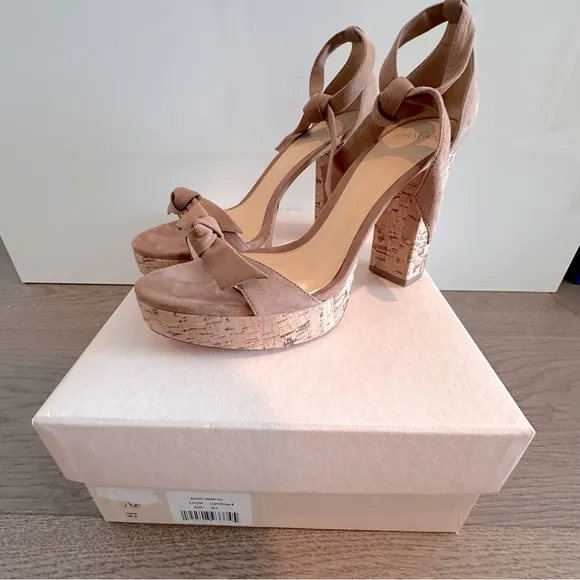 Alexandre Birman Mabela suede with cork sandals