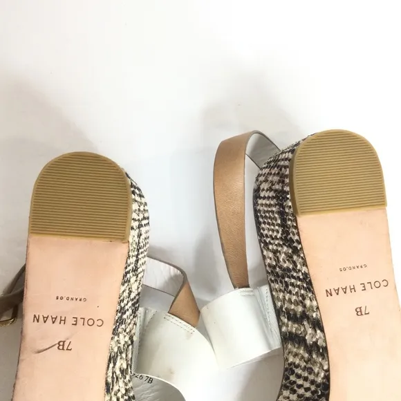 Cole Hahn Python Shoes