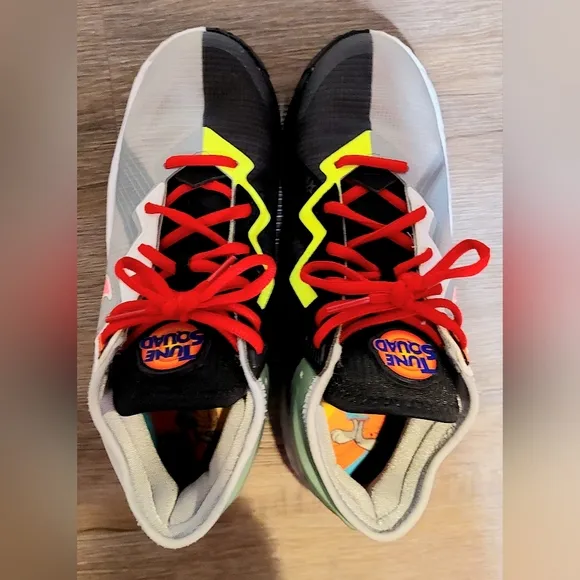 Lebron James basketball shoes