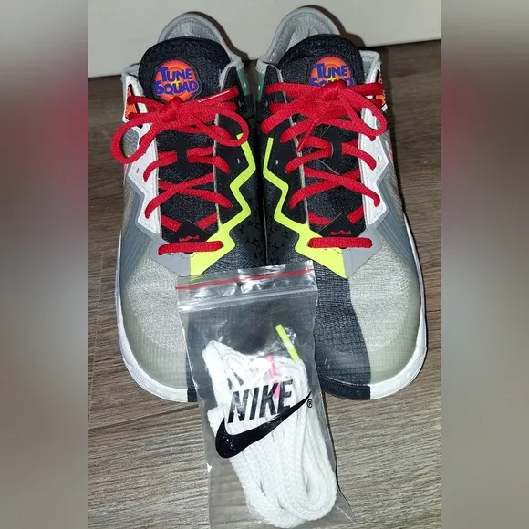 Lebron James basketball shoes