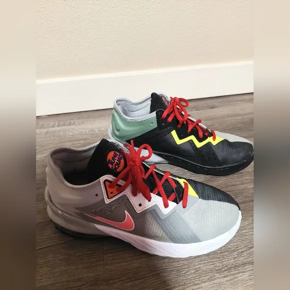Lebron James basketball shoes
