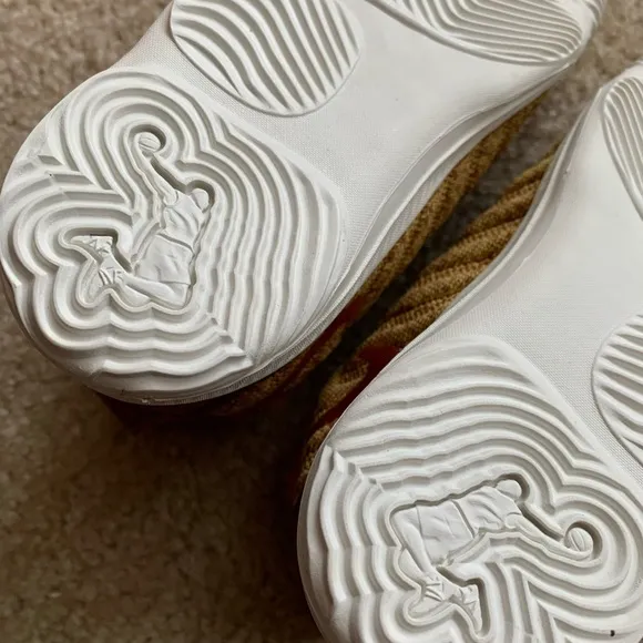 Nike LeBron 16 Little Big Cats lion animals kids boys sneakers shoes