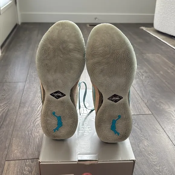 Nike LeBron 20 UNKNWN Message in a Bottle - Size 11 - Only Used 2x - GREAT Shoe