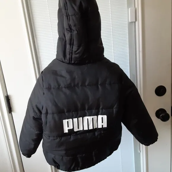 Puma